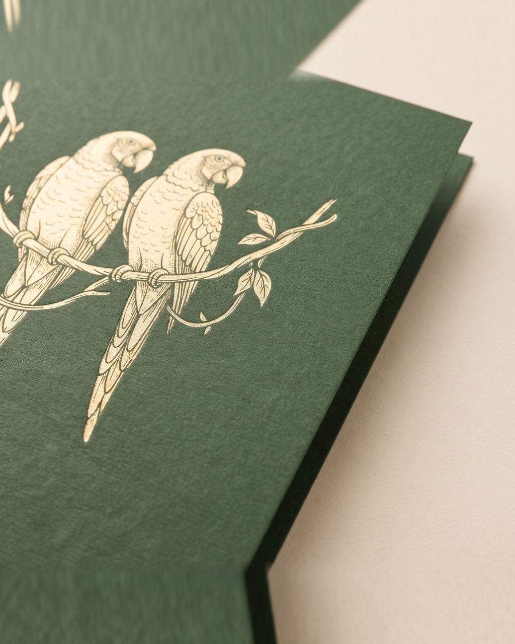 Parrot Pair Greeting Card in Forest — view 3 of 3